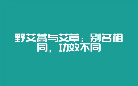 野艾蒿与艾草：别名相同，功效不同-会东网