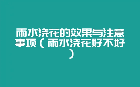 雨水浇花的效果与注意事项（雨水浇花好不好）-会东网