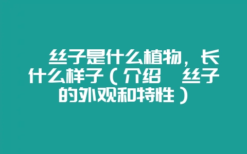 菟丝子是什么植物,长什么样子(介绍菟丝子的外观和特性)-会东网