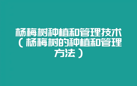 杨梅树种植和管理技术(杨梅树的种植和管理方法)-会东网
