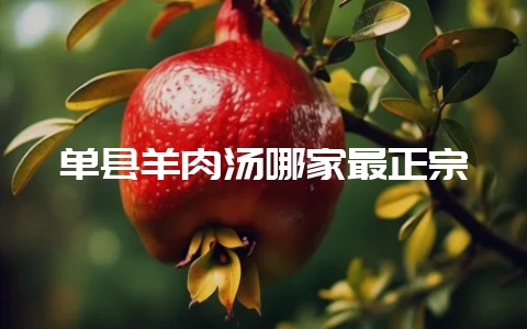 单县羊肉汤哪家最正宗-会东网