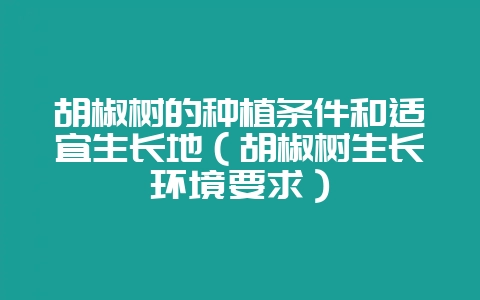 胡椒树的种植条件和适宜生长地(胡椒树生长环境要求)-会东网