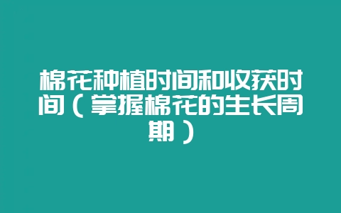 棉花种植时间和收获时间（掌握棉花的生长周期）-会东网