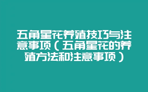 五角星花养殖技巧与注意事项(五角星花的养殖方法和注意事项)-会东网