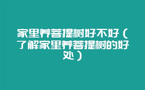 家里养菩提树好不好（了解家里养菩提树的好处）-会东网