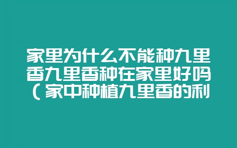 家里为什么不能种九里香九里香种在家里好吗(家中种植九里香的利-会东网