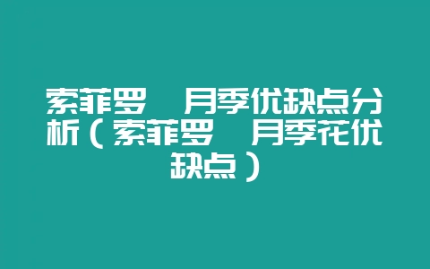 索菲罗莎月季优缺点分析（索菲罗莎月季花优缺点）-会东网