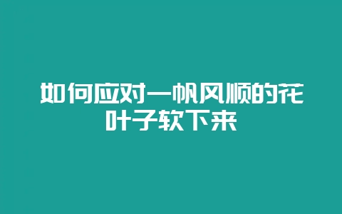 如何应对一帆风顺的花叶子软下来-会东网