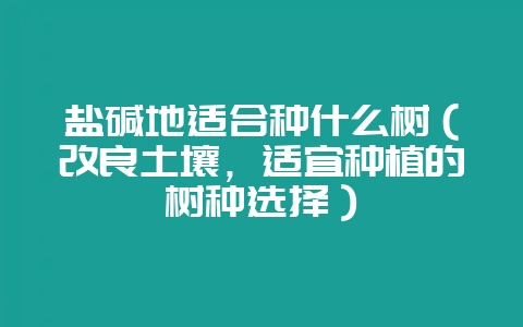 盐碱地适合种什么树(改良土壤,适宜种植的树种选择)-会东网