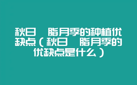 秋日胭脂月季的种植优缺点（秋日胭脂月季的优缺点是什么）-会东网