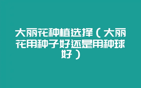 大丽花种植选择（大丽花用种子好还是用种球好）-会东网