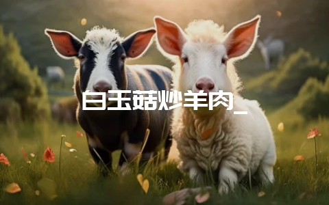 白玉菇炒羊肉_-会东网