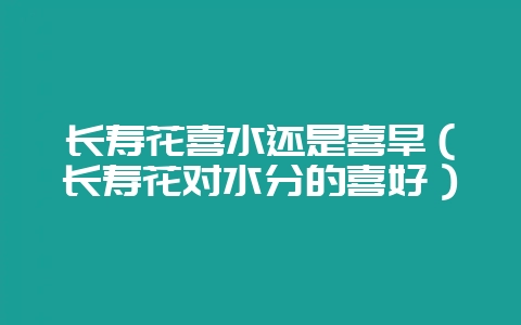 长寿花喜水还是喜旱(长寿花对水分的喜好)-会东网