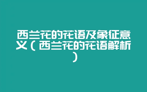 西兰花的花语及象征意义(西兰花的花语解析)-会东网