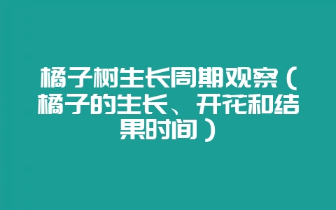 橘子树生长周期观察（橘子的生长、开花和结果时间）-会东网