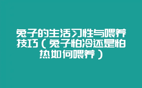 兔子的生活习性与喂养技巧（兔子怕冷还是怕热如何喂养）-会东网