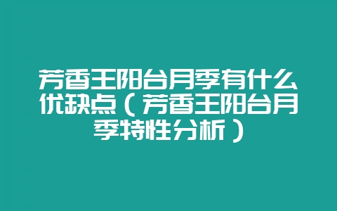 芳香王阳台月季有什么优缺点（芳香王阳台月季特性分析）-会东网