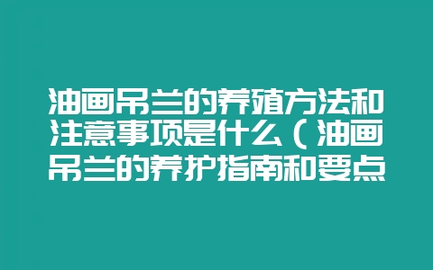 油画吊兰的养殖方法和注意事项是什么(油画吊兰的养护指南和要点-会东网