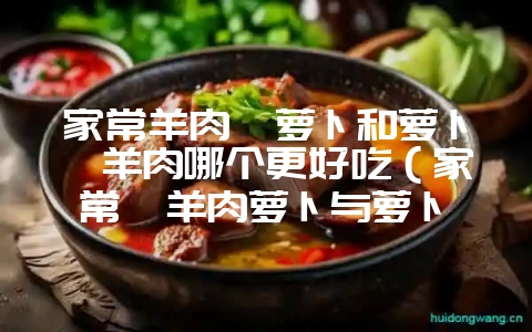 家常羊肉炖萝卜和萝卜汆羊肉哪个更好吃(家常炖羊肉萝卜与萝卜汆-会东网