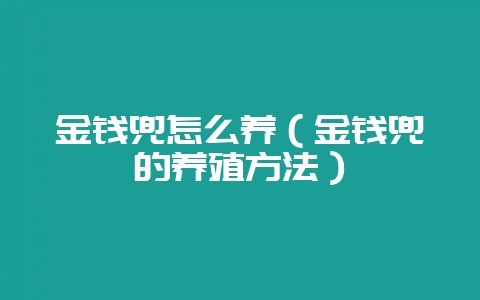 金钱兜怎么养(金钱兜的养殖方法)-会东网