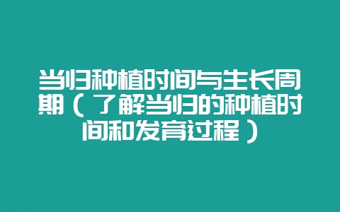 当归种植时间与生长周期(了解当归的种植时间和发育过程)插图 当归种植时间与生长周期(了解当归的种植时间和发育过程)插图
