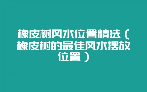 橡皮树风水位置精选（橡皮树的最佳风水摆放位置）-会东网