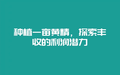 种植一亩黄精，探索丰收的利润潜力-会东网