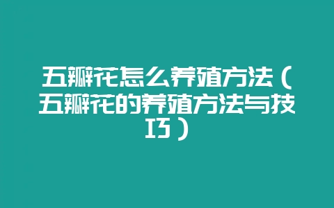 五瓣花怎么养殖方法（五瓣花的养殖方法与技巧）-会东网