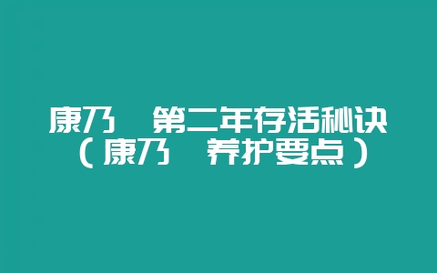康乃馨第二年存活秘诀（康乃馨养护要点）-会东网