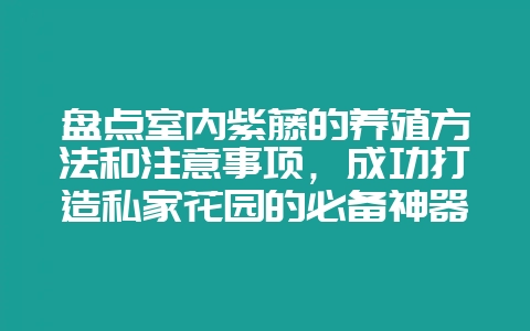 盘点室内紫藤的养殖方法和注意事项,成功打造私家花园的必备神器!-会东网