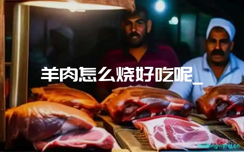 羊肉怎么烧好吃呢_插图 羊肉怎么烧好吃呢_插图