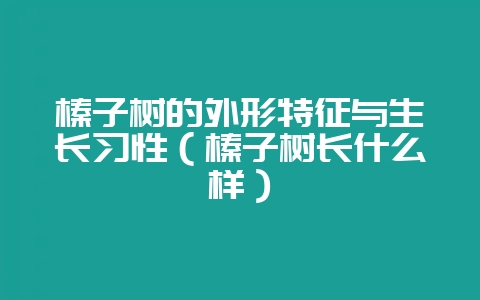 榛子树的外形特征与生长习性(榛子树长什么样)-会东网