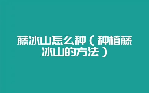 藤冰山怎么种(种植藤冰山的方法)-会东网