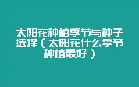 太阳花种植季节与种子选择(太阳花什么季节种植最好)-会东网