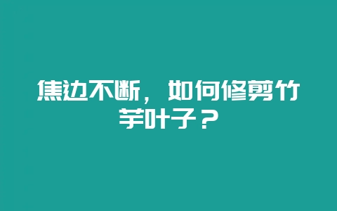 焦边不断，如何修剪竹芋叶子？-会东网