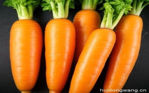 尿酸高喝羊汤-会东网