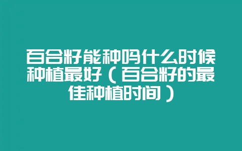 百合籽能种吗什么时候种植最好（百合籽的最佳种植时间）-会东网