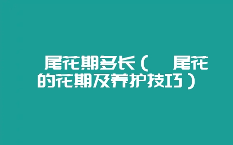 鸢尾花期多长(鸢尾花的花期及养护技巧)-会东网