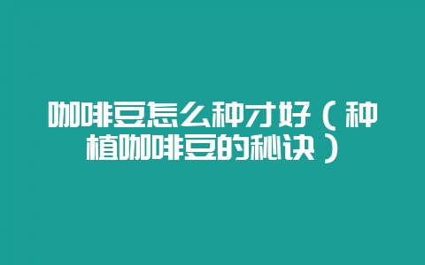 咖啡豆怎么种才好（种植咖啡豆的秘诀）-会东网