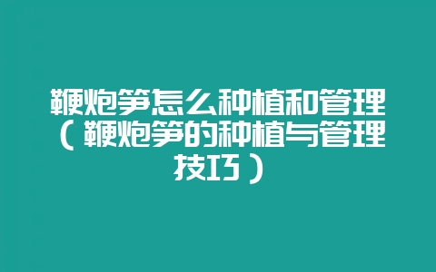 鞭炮笋怎么种植和管理（鞭炮笋的种植与管理技巧）-会东网