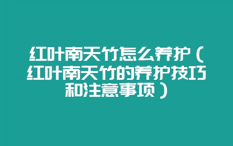 红叶南天竹怎么养护（红叶南天竹的养护技巧和注意事项）-会东网