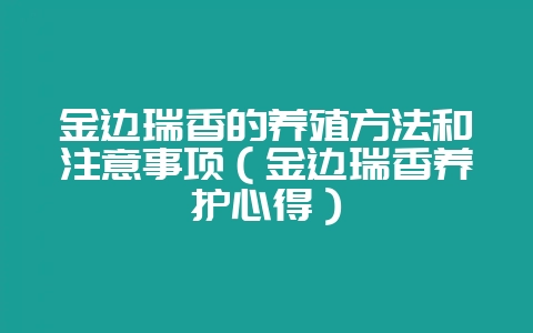 金边瑞香的养殖方法和注意事项(金边瑞香养护心得)-会东网