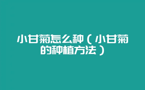 小甘菊怎么种（小甘菊的种植方法）-会东网