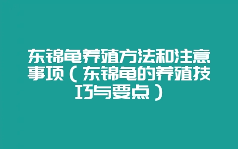 东锦龟养殖方法和注意事项(东锦龟的养殖技巧与要点)-会东网