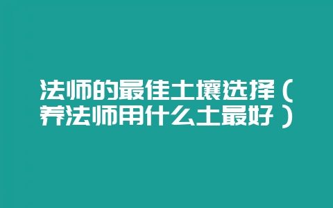 法师的最佳土壤选择（养法师用什么土最好）-会东网
