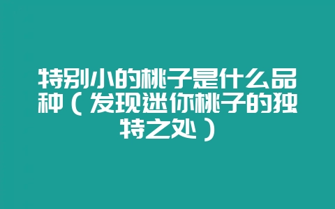 特别小的桃子是什么品种（发现迷你桃子的独特之处）-会东网