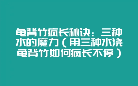 龟背竹疯长秘诀:三种水的魔力(用三种水浇龟背竹如何疯长不停)-会东网