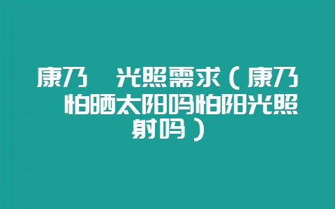 康乃馨光照需求（康乃馨怕晒太阳吗怕阳光照射吗）-会东网