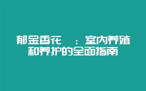 郁金香花卉：室内养殖和养护的全面指南-会东网