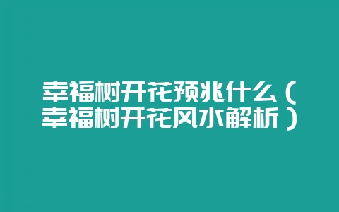 幸福树开花预兆什么（幸福树开花风水解析）-会东网